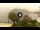 Webcam in Sulzano, 4.3 mi away