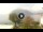 Webcam in Sulzano, 1.9 mi away