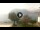Webcam in Sulzano, 18.4 km