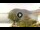 Webcam in Sulzano, 0.2 km