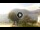 Webcam in Sulzano, 1.9 mi away