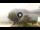 Webcam in Sulzano, 19.2 km