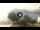 Webcam in Sulzano, 0.2 km entfernt