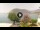Webcam in Sulzano, 0.3 km