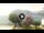 Webcam in Sulzano, 18.4 km
