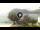Webcam in Sulzano, 1.9 mi away