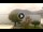 Webcam in Sulzano, 0.1 mi away