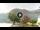 Webcam in Sulzano, 6.8 mi away