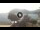 Webcam in Sulzano, 4.3 mi away