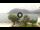 Webcam in Sulzano, 1.9 mi away