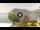 Webcam in Sulzano, 1.9 mi away