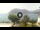 Webcam in Sulzano, 5 mi away