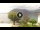 Webcam in Sulzano, 15.6 km