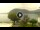Webcam in Sulzano, 15.6 km