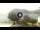 Webcam in Sulzano, 1.9 mi away