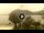 Webcam in Sulzano, 15.6 km