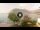Webcam in Sulzano, 7.3 mi away