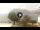 Webcam in Sulzano, 16.4 km