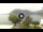 Webcam in Sulzano, 7.3 mi away