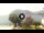 Webcam in Sulzano, 3.1 km entfernt