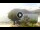 Webcam in Sulzano, 0.2 km