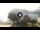 Webcam in Sulzano, 4 mi away