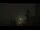 Webcam in Chamrousse, 5 mi away