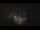 Webcam in Chamrousse, 5 mi away