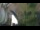 Webcam in Sassenberg, 15.4 mi away