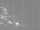 Webcam in Saalbach, 1 mi away