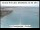 Webcam sur la Grand Princess, 162.8 km
