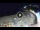 Webcam in Lloret de Mar, 12.8 km