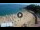 Webcam in Lloret de Mar, 7.3 mi away