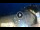 Webcam in Lloret de Mar, 28.9 km