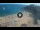 Webcam in Lloret de Mar, 12.8 km entfernt