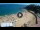 Webcam in Lloret de Mar, 17.9 km
