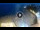 Webcam in Lloret de Mar, 0.5 km