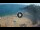 Webcam in Lloret de Mar, 3 mi away