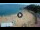 Webcam in Lloret de Mar, 5 mi away