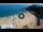 Webcam in Lloret de Mar, 17.5 km