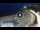 Webcam in Lloret de Mar, 12.2 mi away