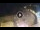 Webcam in Lloret de Mar, 0.2 mi away