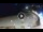 Webcam in Lloret de Mar, 0.1 km