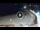 Webcam in Lloret de Mar, 4.7 km