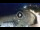 Webcam in Lloret de Mar, 0.5 km
