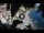 Webcam in Positano, 4.4 km