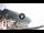 Webcam in Minori, 45.3 km
