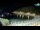 Webcam in Mali Lošinj, 1.1 km