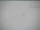 Webcam al Polo Sud, 1600.6 km
