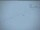 Webcam am Südpol, 1136.7 km entfernt